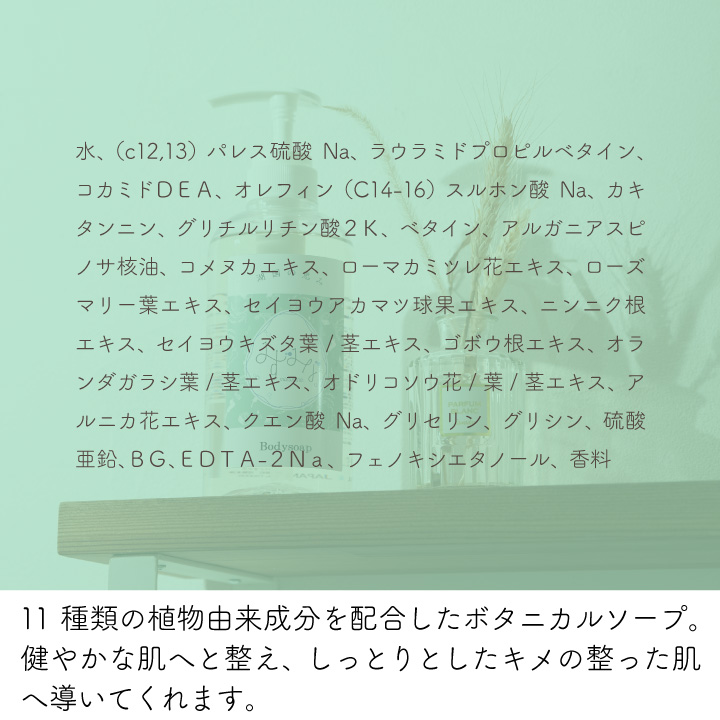 みずみなボディソープは、11種類の植物由来成分を配合したボタニカルソープ。健やかな肌へと整え、しっとりとしたキメの整った肌へ導いてくれます。
